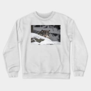 Eastern Gray Wolf Crewneck Sweatshirt